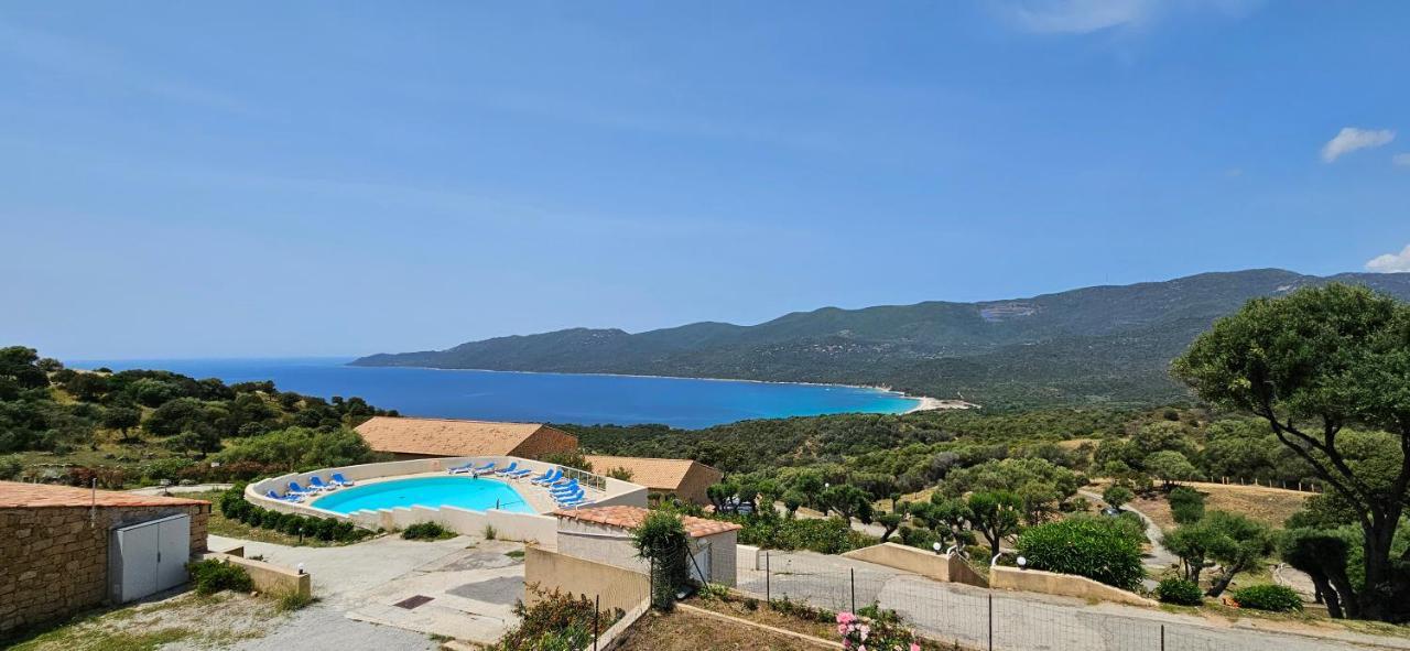 Chalereux T2 Vue Mer Et Piscine Alba Rossa Serra di Ferro Esterno foto