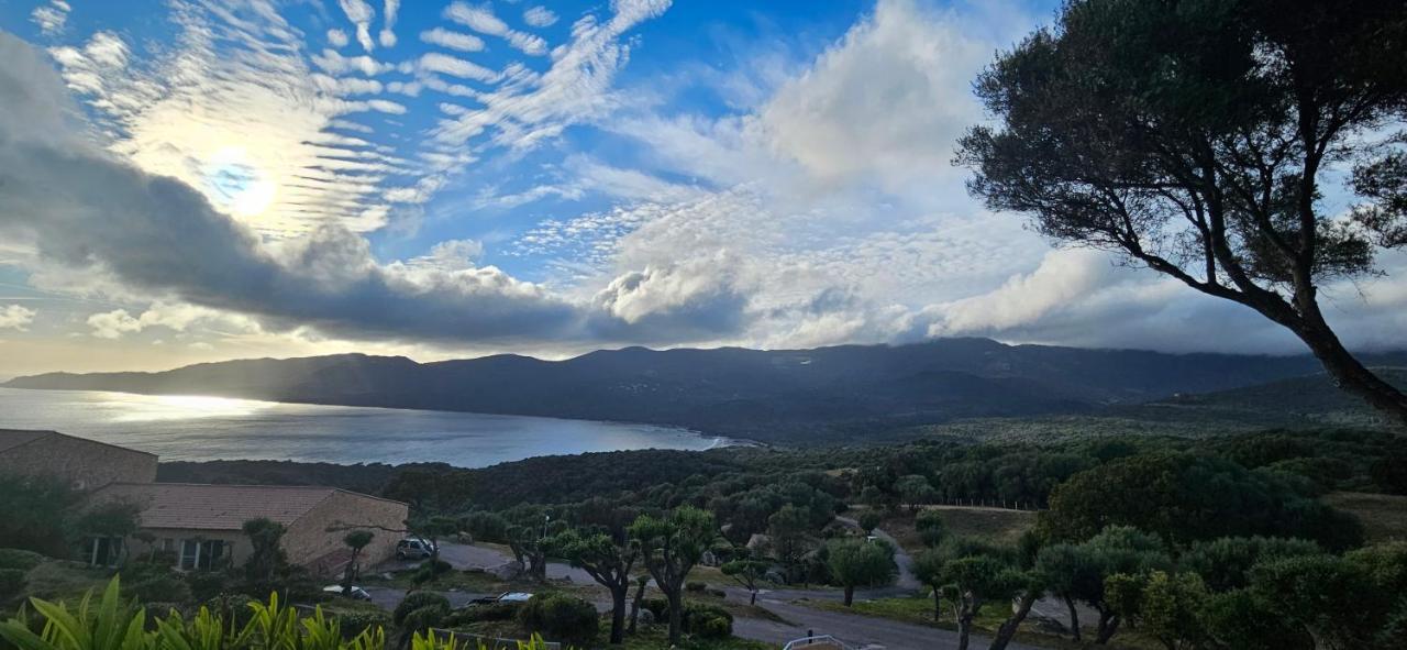 Chalereux T2 Vue Mer Et Piscine Alba Rossa Serra di Ferro Esterno foto