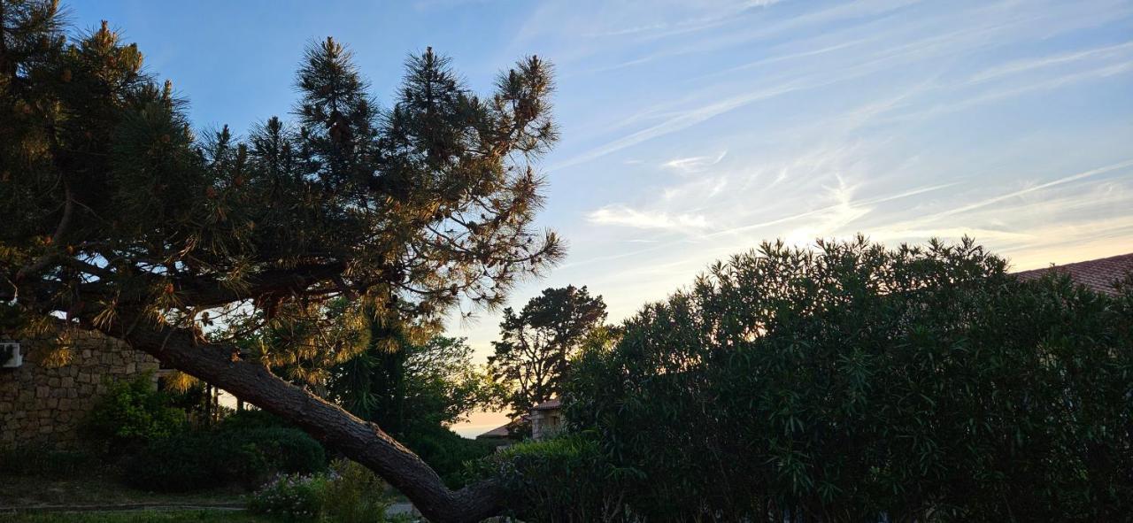Chalereux T2 Vue Mer Et Piscine Alba Rossa Serra di Ferro Esterno foto